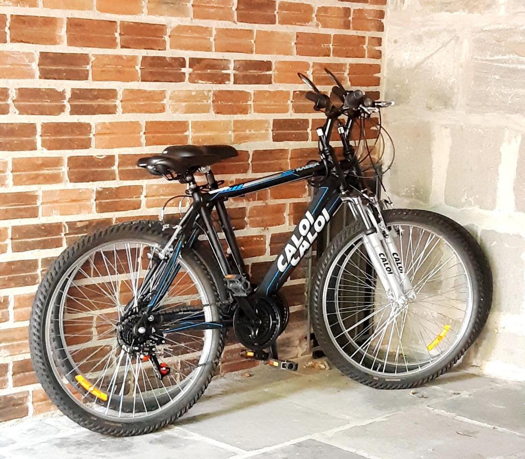 Apartamento Aconchegante + Bikes Gramado Eksteriør billede